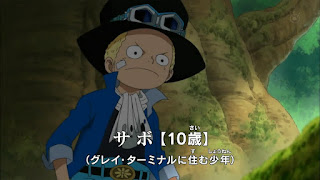 決定稿 1枚 設定資料 サボ SABO 帽子なし 室内着 ver 10歳 幼少期 Ron